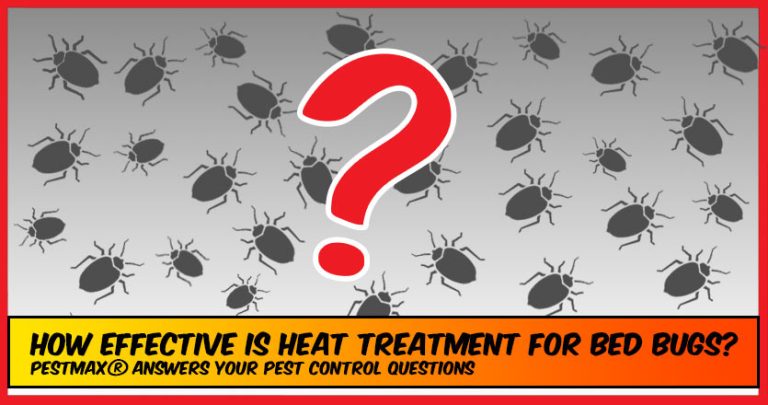 The Safety and Efficacy of Heat Treatment for Bed Bug Eradication in Food Service Businesses
