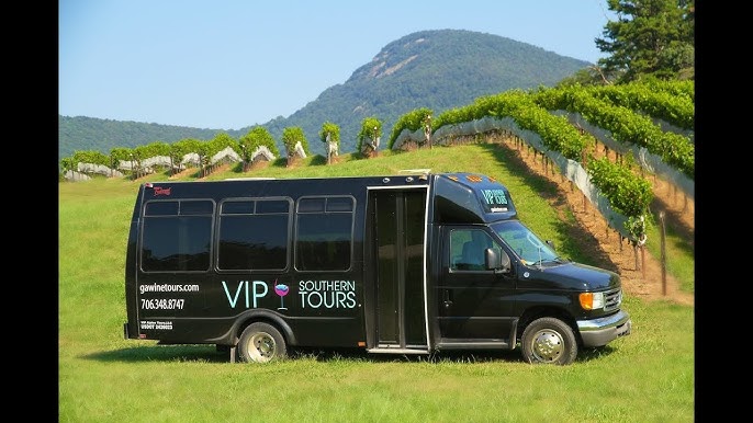 Wine Tourism in Georgia: Renting a Car for a Journey through the Vineyards